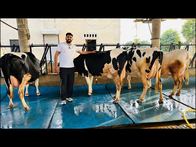 🛑Live🛑Sahib Dairy Farm || Call-95180-55688