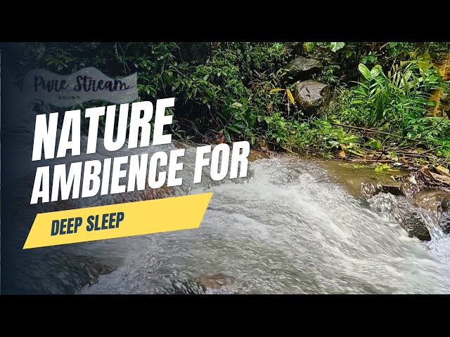 Tranquil River Sounds | ASMR Nature Ambience for Sleep, Relaxation & Focus