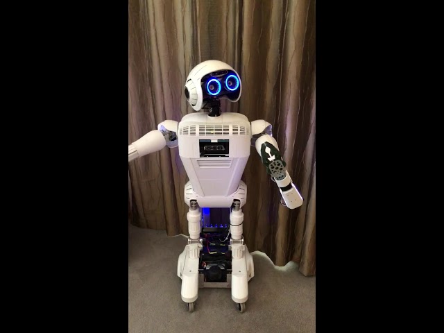 Sheldon Robot Sings “Believer”