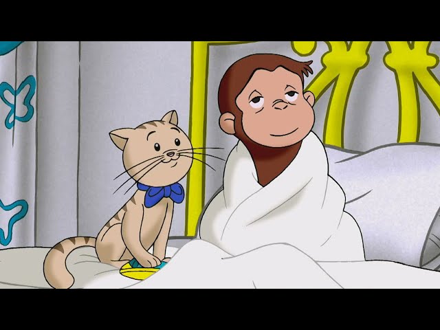 George Is A Sick Monkey! 🤒🐵 Curious George | Animal Friends