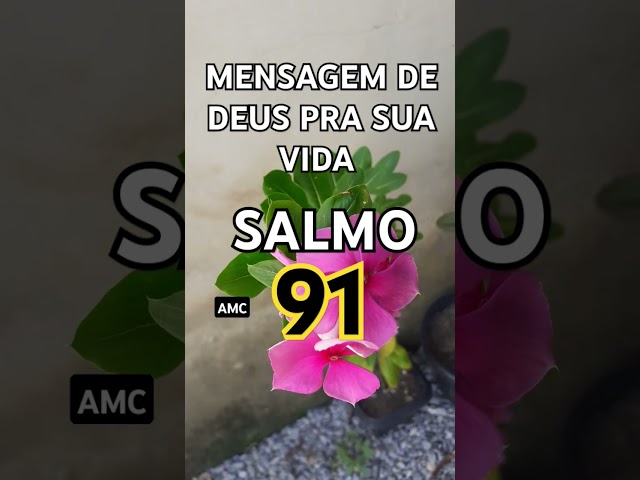 SALMO 91 #jesus #reflexão #oração #deus #salmo91 #short #fé #foco #biblia