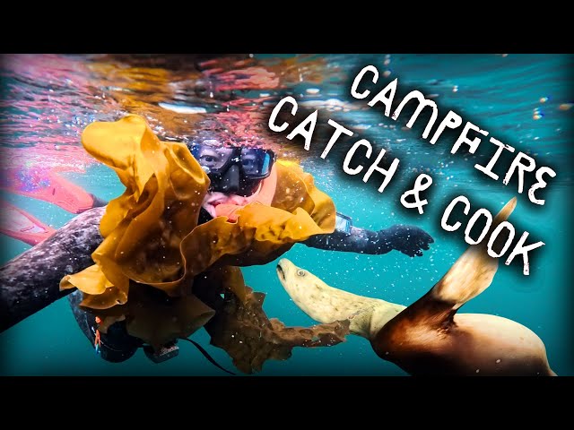 Seafood Everywhere! Freediving British Columbia | PNW Samson