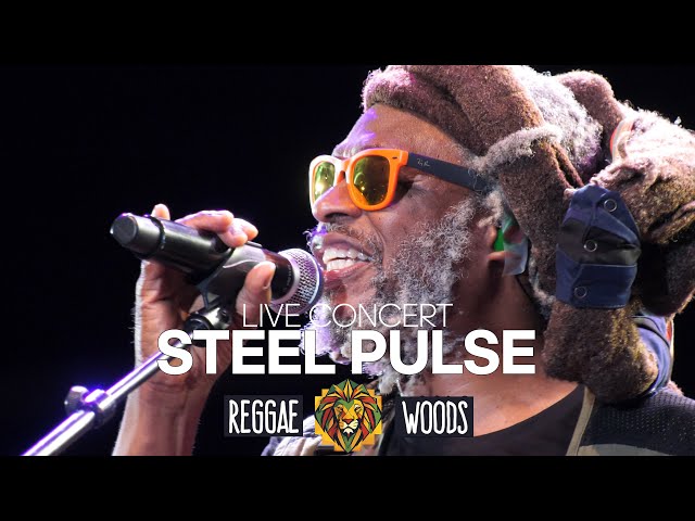 Steel Pulse Live @ Reggae Woods Festival Rotterdam 2024