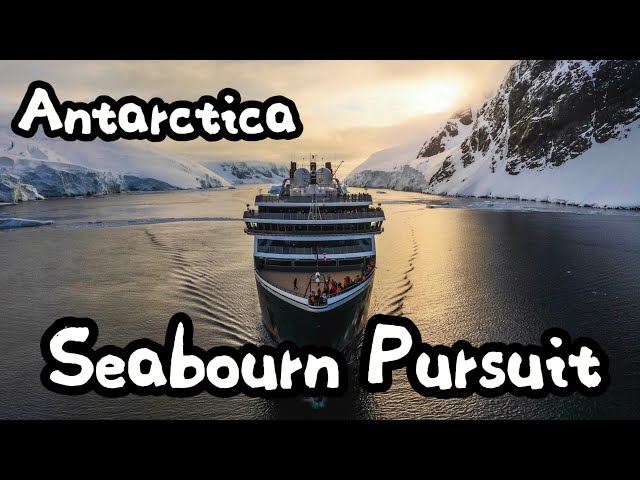 Seabourn Pursuit 2024 | Antarctica 🇦🇶 | Expedition Cruise Review | Room Tour | 世邦游轮 | 南极｜探险邮轮