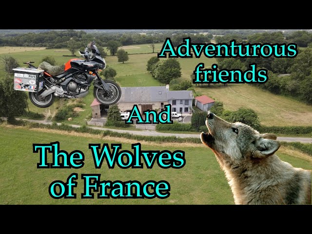 Vanlife - The Wolves of France and amazing memories.