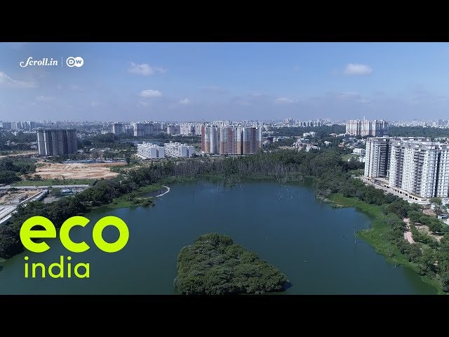 Eco India: Bengaluru is witnessing a transformation, one lake at a time