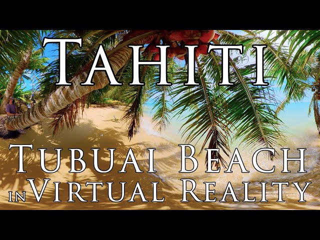 Tahiti in VR - Mutiny on the Bounty Beach! Limin' at Fort George Beach in Virtual Reality 5.7k 360º