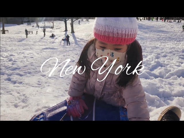 Winter Fun Happy Sledding ❄ ❄