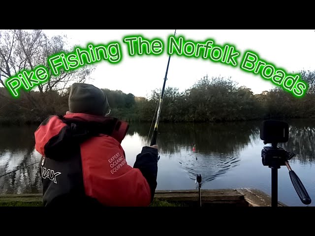 Dead Baiting Pike on the Norfolk Broads