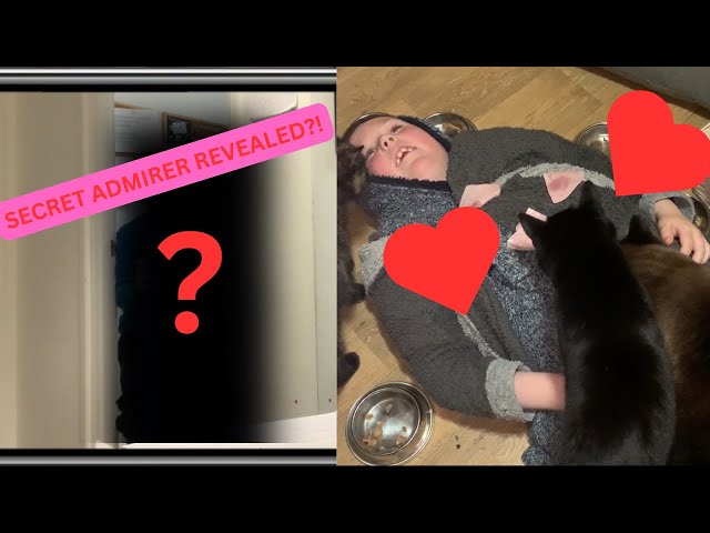 🐱💖 Cat Café Secret Admirer Challenge – The Cats Only Love… FOOD?! 🍖😂 - A Short Valentines Movie.