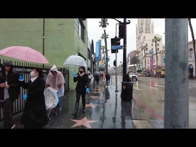 Rainy day ASMR (Hollywood Blvd) 4k