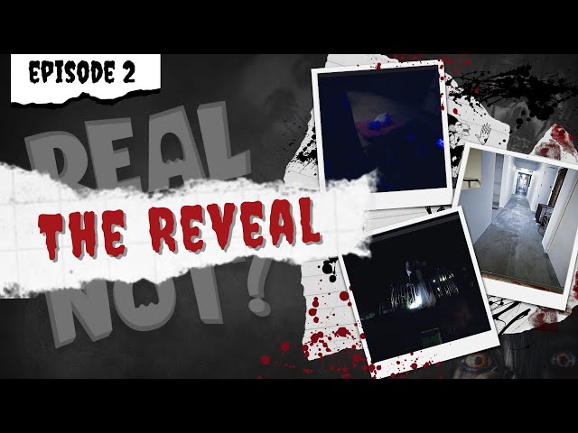 Real or Not - Episode Two (Backstory)