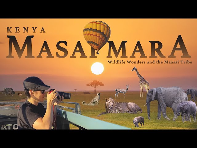 Maasai Mara: Unforgettable Wildlife Encounters in the Majestic Safari | Kenya Part 3