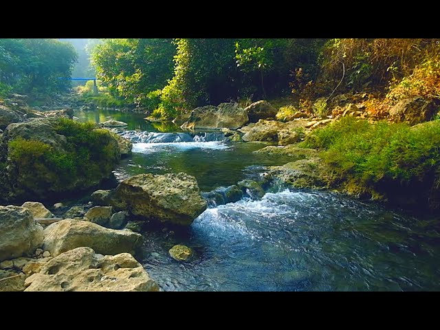 Mountain stream flowing, Forest river stream, Flowing water, white noise for sleeping