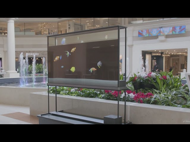 First-ever transparent TV now on display in Chicago's northwest suburbs. Where?