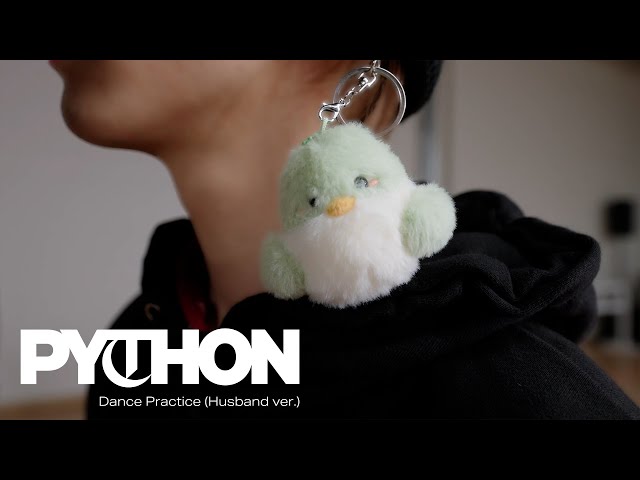 GOT7 'PYTHON' Dance Practice (Husband ver.)