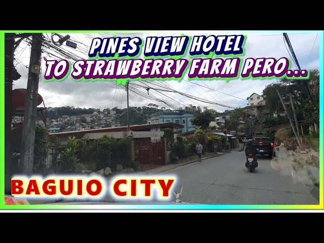 Pines View Hotel to Strawberry Farm | Baguio City | Road Trip | December 2024