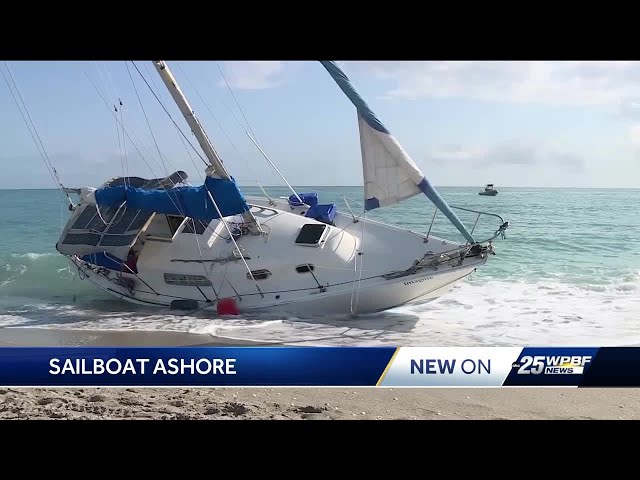 Nine arrested after smuggling boat found in Juno Beach