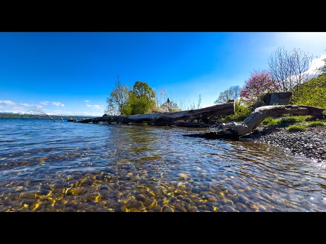 Relax with the soothing sounds of nature in the Switzerland Alps. Perfect for meditation, relaxation