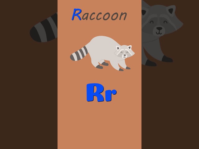 Letter R | Preschool Learning | English Alphabet #preschoollearning #educationalforkids #funlearning