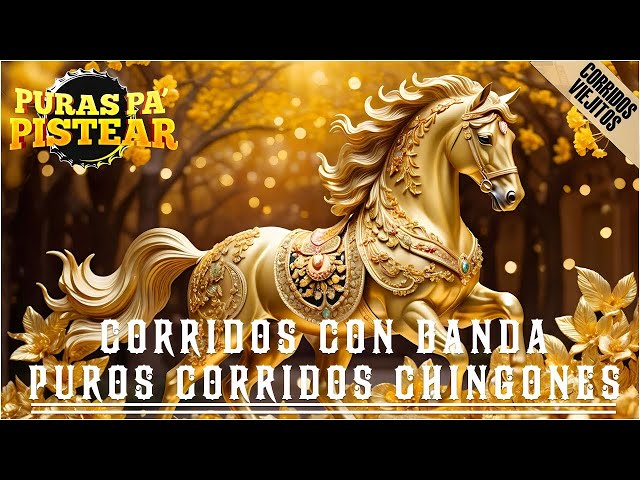 Corridos Con Banda Mix 2025✅ | Puros Corridos 🤠🔥 | Mix Para Pistear 🍻🎶272