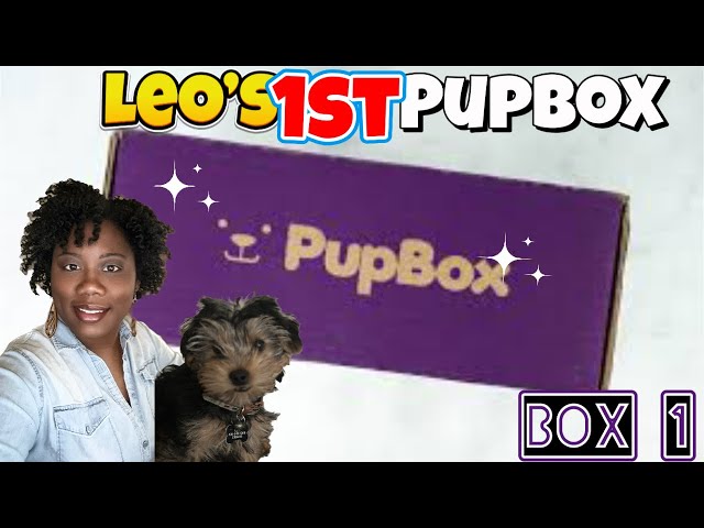 LEO'S FIRST PUPBOX | PUPBOX UNBOXING | REVIEW