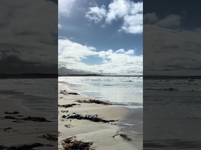 Warrnambool, Victoria #gunditjmaracountry #beach