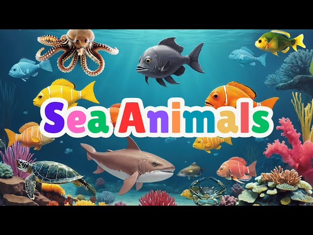 Sea Animals for Kids | Learn Sea Animal Names | Kids Learn Aquatic Animals | Educational Video