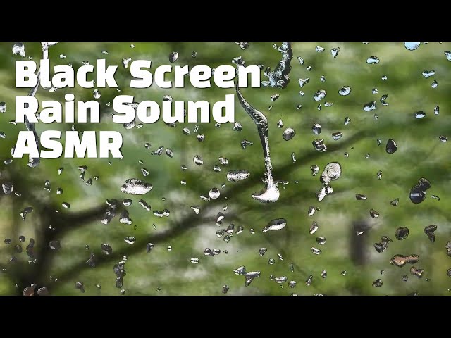 🙂No mid-roll ads🙂Sleep-inducing rain sound turned off after 5 minutes (3h) #RainSound