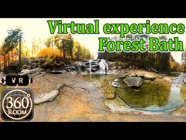 【VR】forest bathing 360-degree Camera  Video