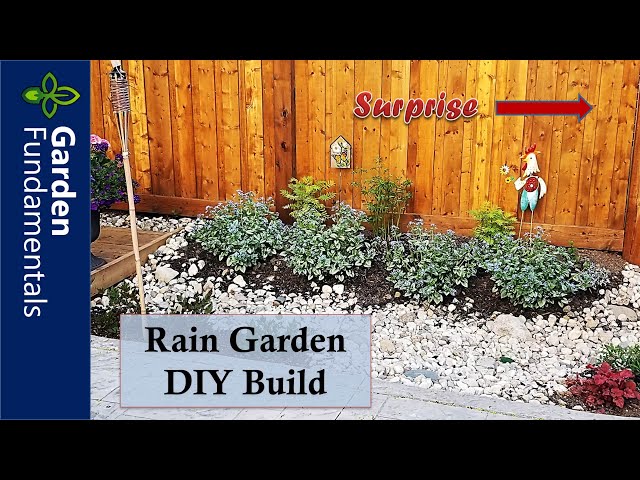 DIY Rain Garden Build - Start to Finish, with a Surprise Feature