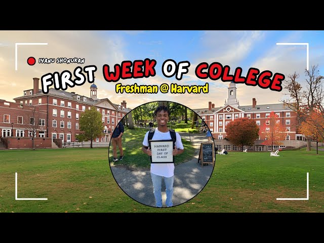 a week in the life of a college freshman at harvard