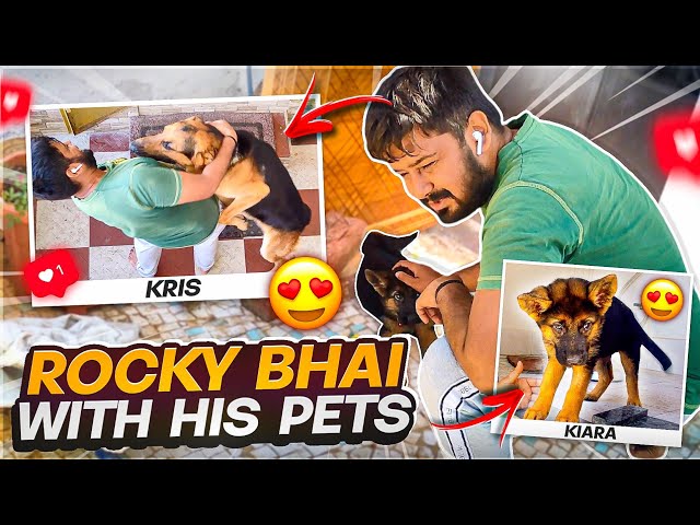 Me & my pets | Krish & Kieara 😍 | ROCKY & RDX