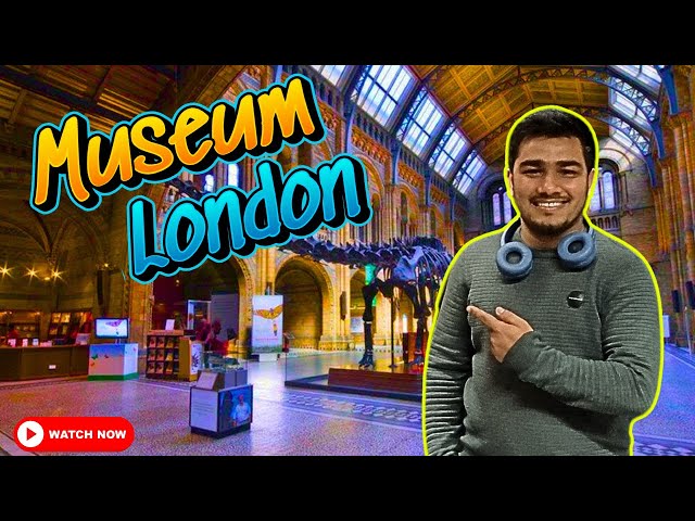 Natural History Museum London | A Must-Visit Iconic Museum | Part 2