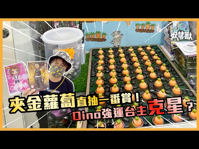 [夾公仔] 拔蘿蔔抽一番賞！DINO強運險勝台主！｜長洲 ipromise | 奴隸獸Dino