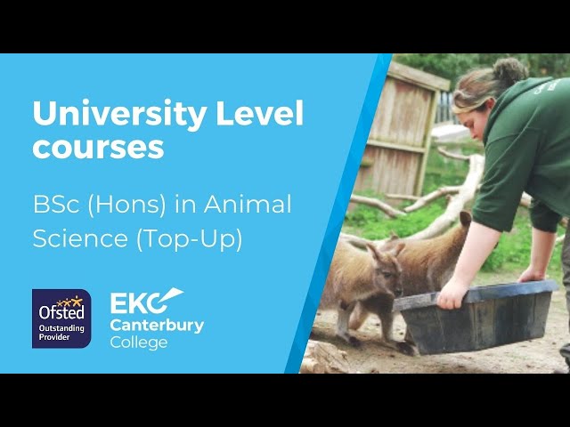 BSc (Hons) in Animal Science (Top-Up) | EKC Canterbury College