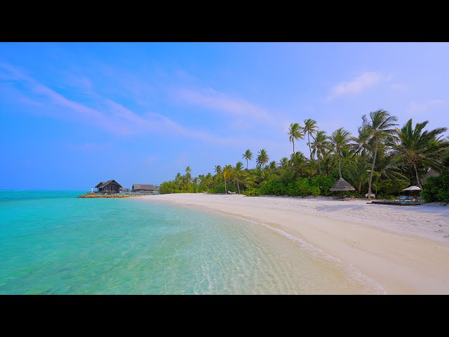 🏝 Beach View: 12 Hours of Maldives Ambience & Soft Ocean Sounds