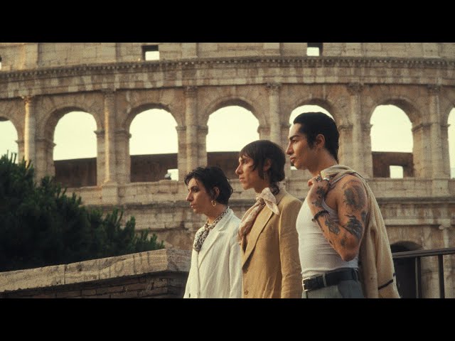 PALAYE ROYALE - Ache In My Heart (Official Music Video)