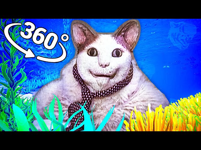 Boo! Are you scared? - Oceanic in 360° Video | VR / 8K | ( Boo are you scared meme )