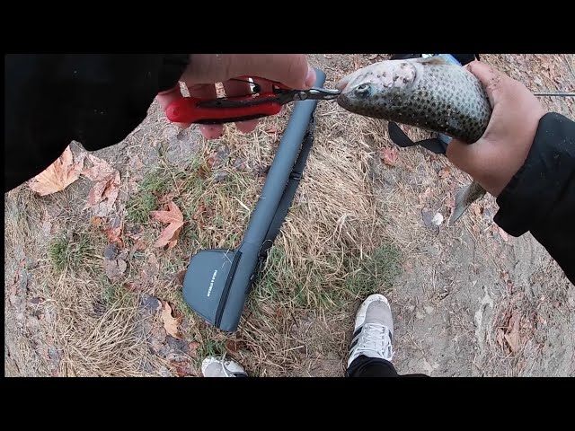 Trout Fishing In The Rain At Riverwalk Park #angling #fishing #troutfishing #rainbowtrout #outdoors