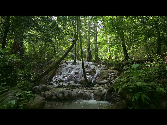 🔊 4K Waterfall & River Sounds 🌿 | The Most Relaxing Nature Ambience for Sleep, Focus & Meditation!