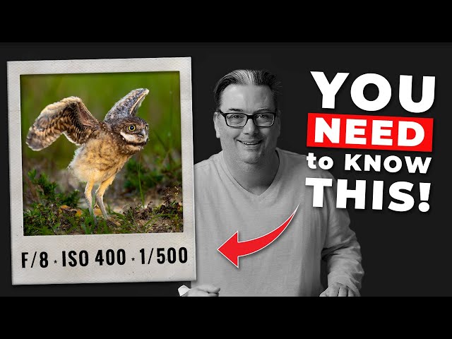 Photography Basics in 10 Minutes, from a Pro