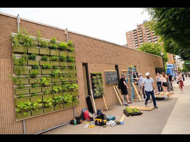 VCU Green Walls Class