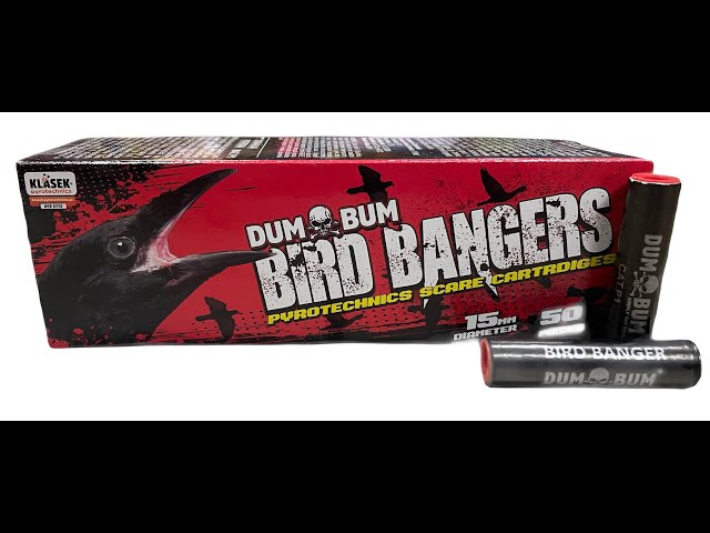 Dum Bum Bird Bangers