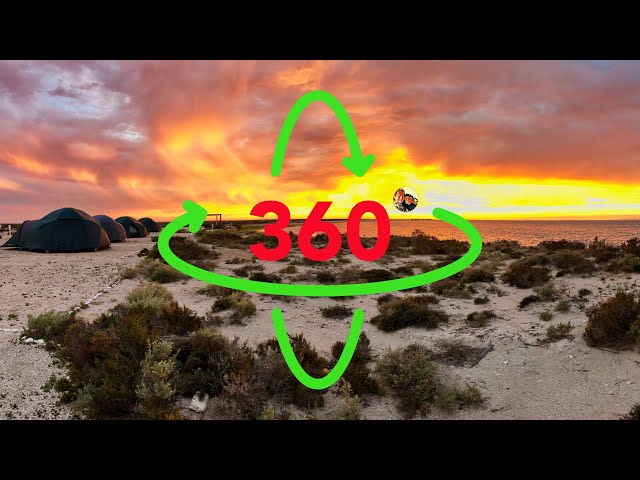 360° Sunset Whale Laguna San Ignacio in Mexico (4K)