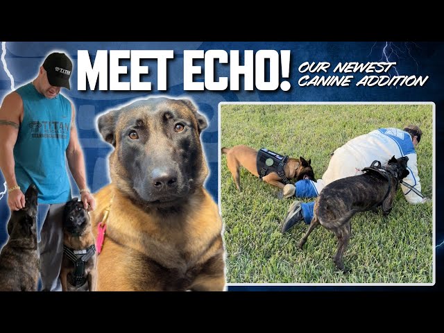 Welcome to the #TitanMedical Family Echo!