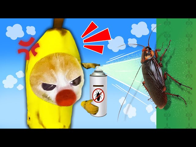 Banana Cat's Epic Struggle Against The Scary Cockroach! 🐱 Baby Banana Cat Compilation | Cat MEME 😿