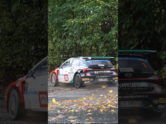 Hyundai vs Škoda vs Ford #rally #racing