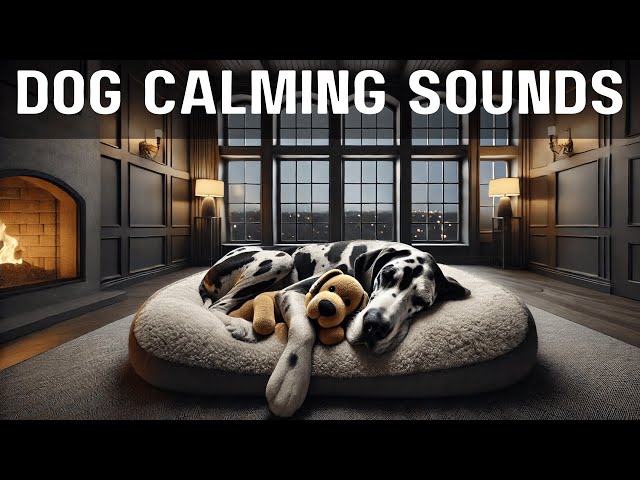 Calming Dog Sounds Calming Music Separation Anxiety 🎵💖 Relief Relaxation for Dogs 🐶✨ Dog sleep