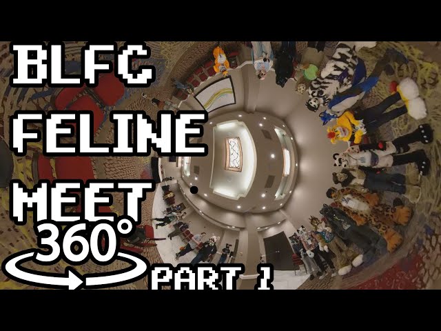 [4k 360 VR] Feline Meet Part 1 - BLFC 2022 - Day 3 | You control the camera!